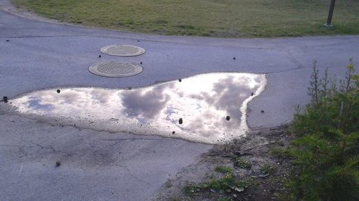 170706 Kärlek från naturen