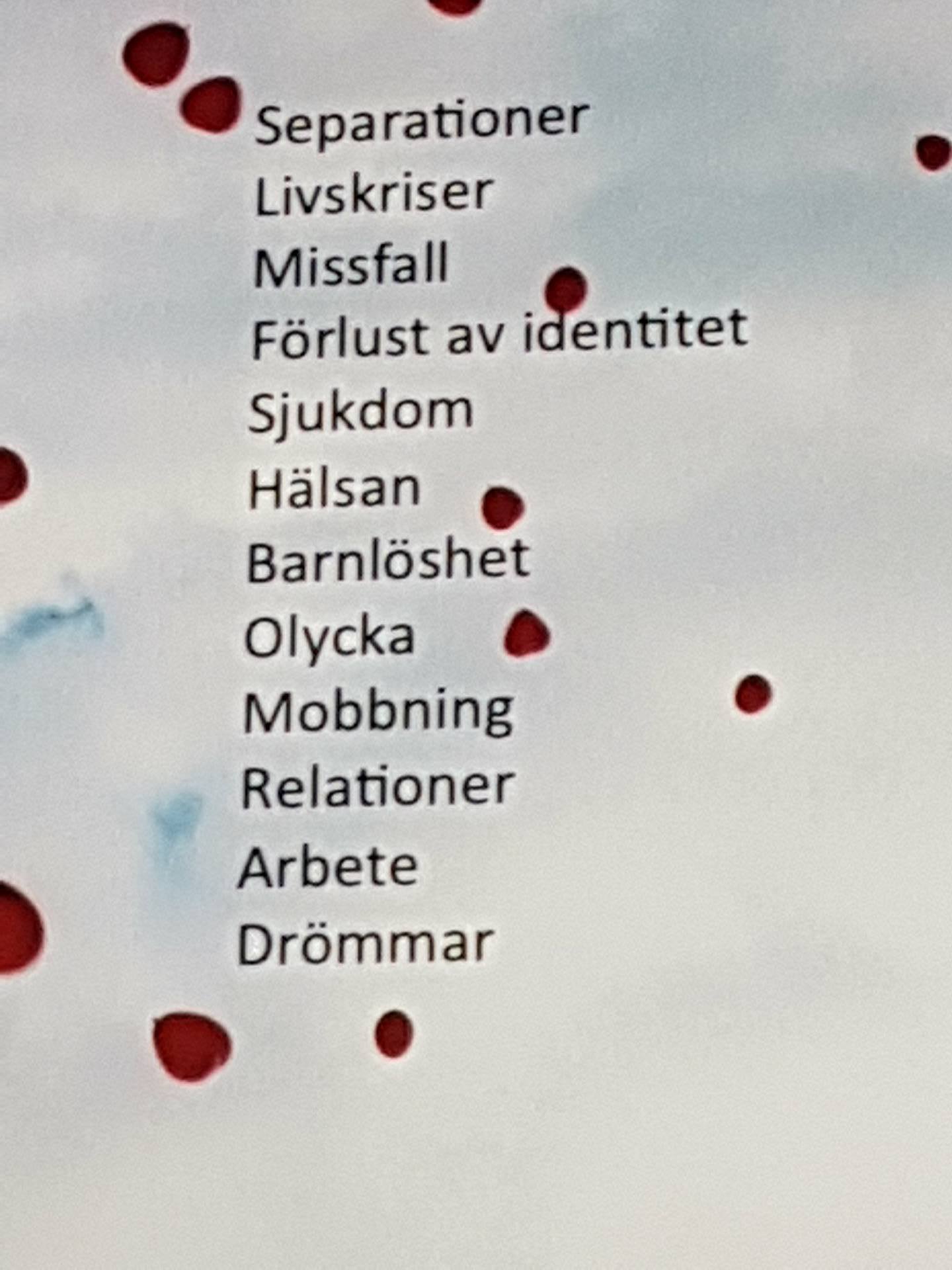 171105 Sorgebearbetning anledningar