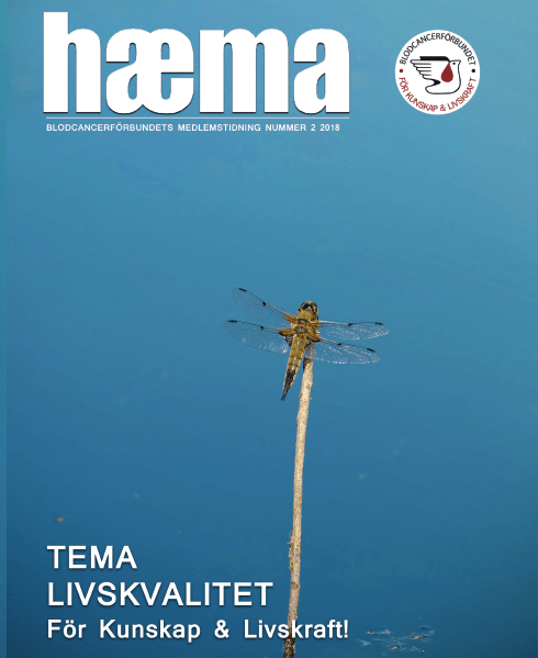 Skärmavbild 2018-06-19 kl. 07.41.48