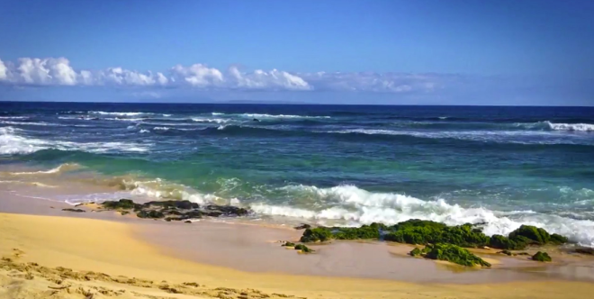 Blodcancerförbundet – ”Min historia…” – Vågen som rullar&nbsp;in