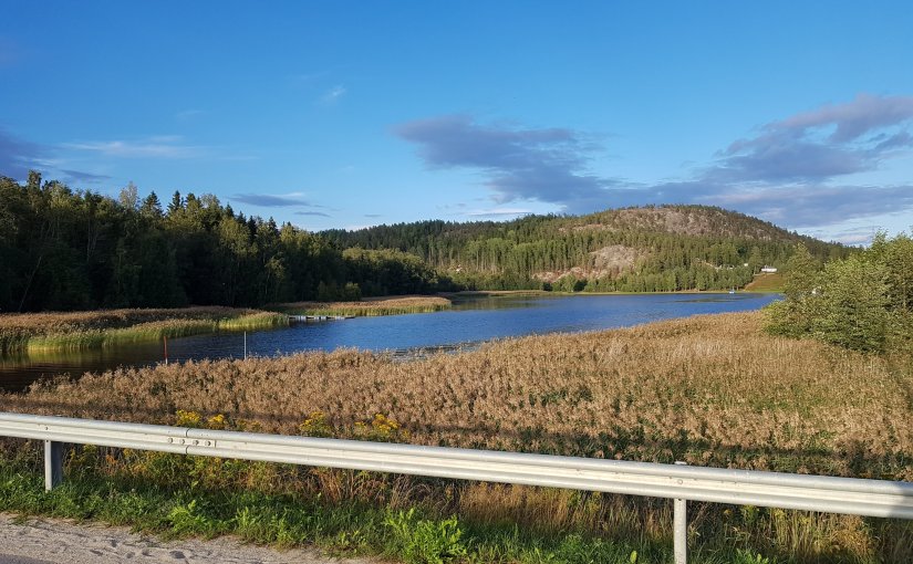 Natur, infektionen, hajar och&nbsp;avslut