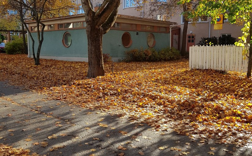 Ny infektion lagom till att börja jobba.&nbsp;Snöpligt.