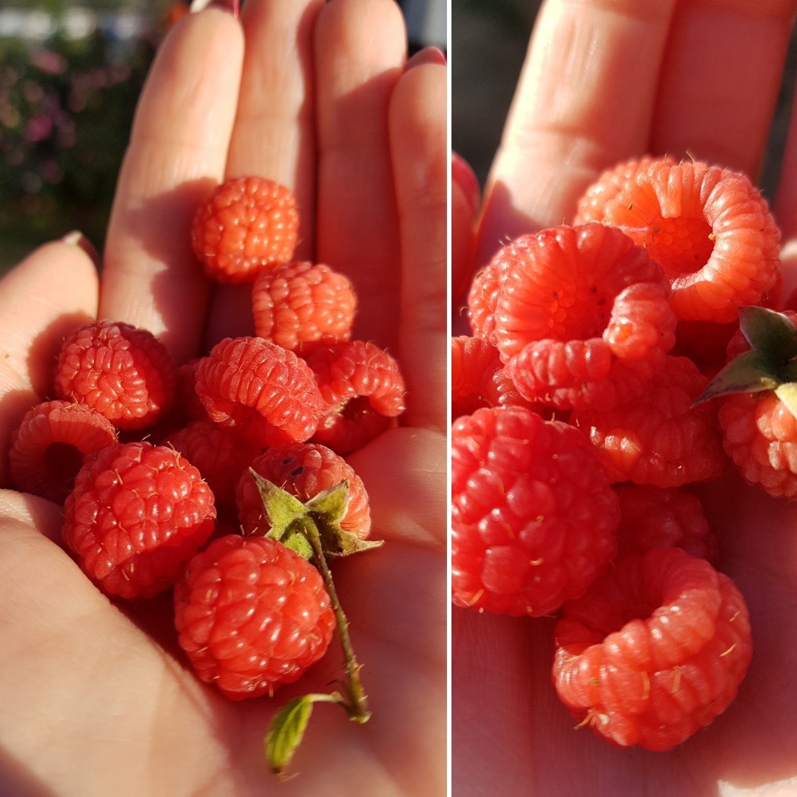 IMG_20181018_153843_903